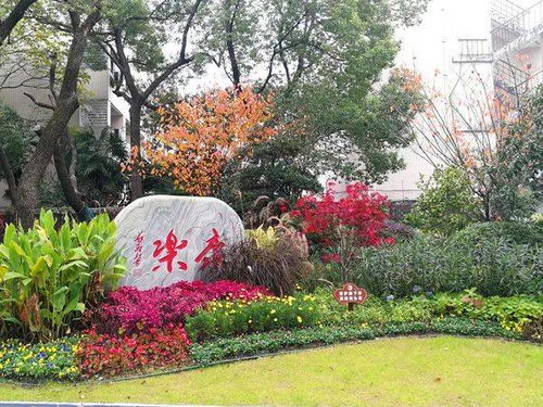 喜讯 虹口这些单位获评 上海市花园单位